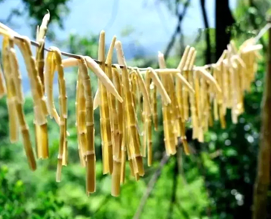 吃春笋，不可辜负的至鲜皖味